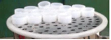 product-219-79 product-219-79